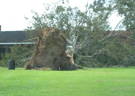 Connect to the Internet if you can't see this image.