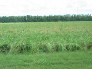 Connect to the Internet if you can't see this image.